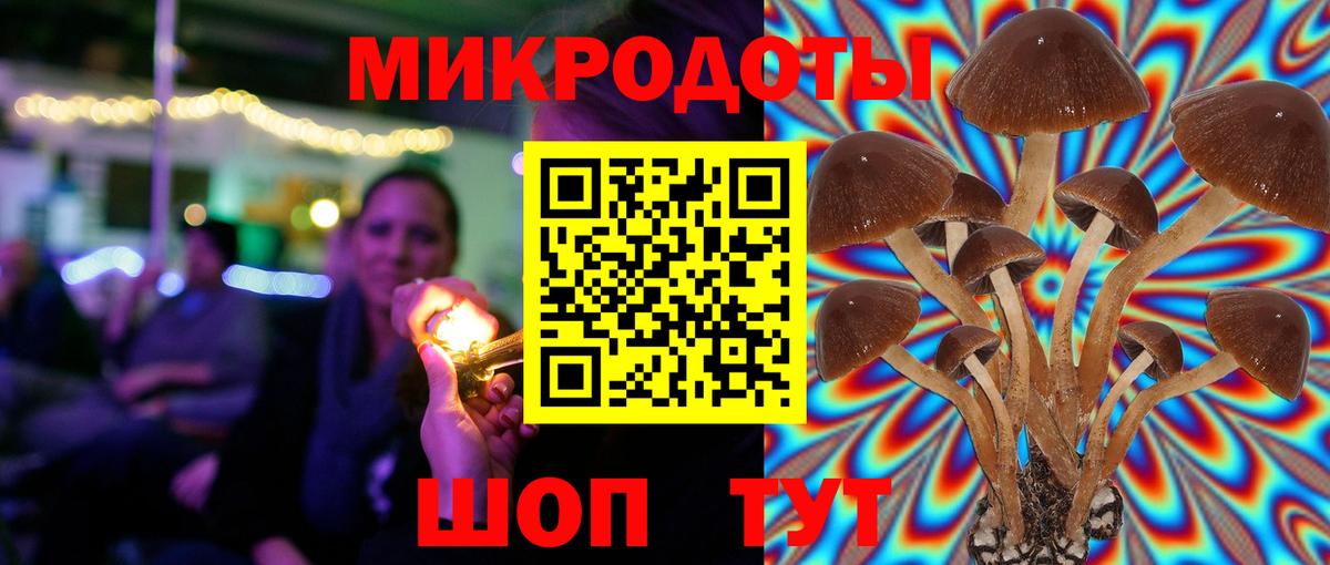 Ярцево  Галлюциногенные грибы Psilocybe  Вход с VPN 