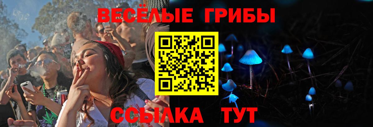 Псилоцибиновые грибы MAGIC MUSHROOMS Ярцево